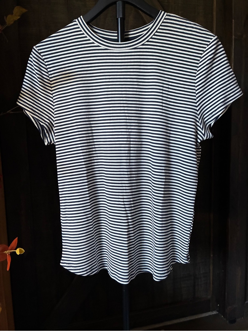 Truth Navy & White Striped Crewneck Tee